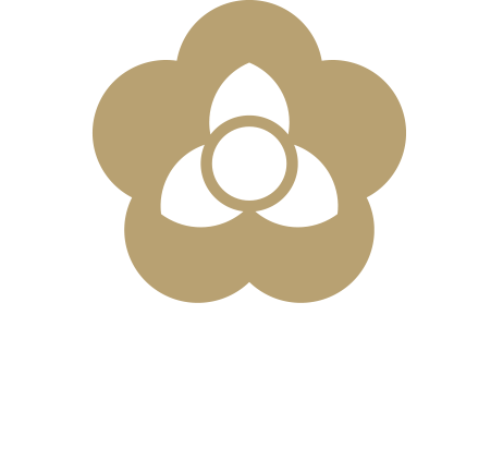 HAYASHIYA B&M Consulting